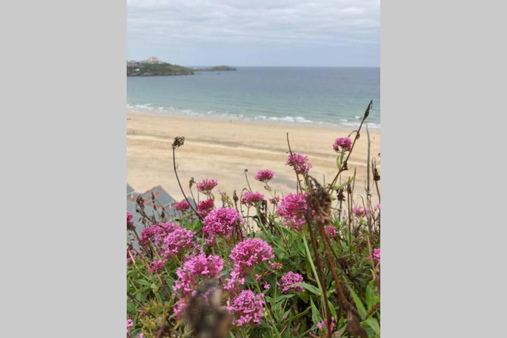 Beautiful 3 Bedroom Apartment By The Sea New Quay エクステリア 写真