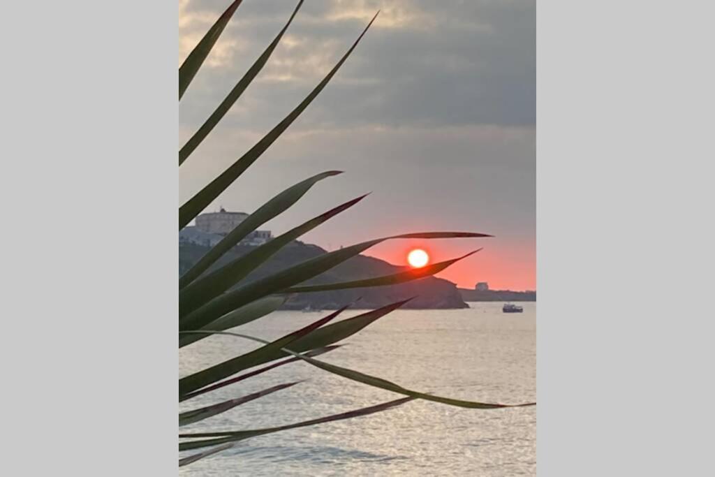Beautiful 3 Bedroom Apartment By The Sea New Quay エクステリア 写真