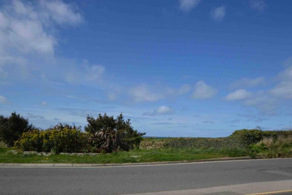 Beautiful 3 Bedroom Apartment By The Sea New Quay エクステリア 写真