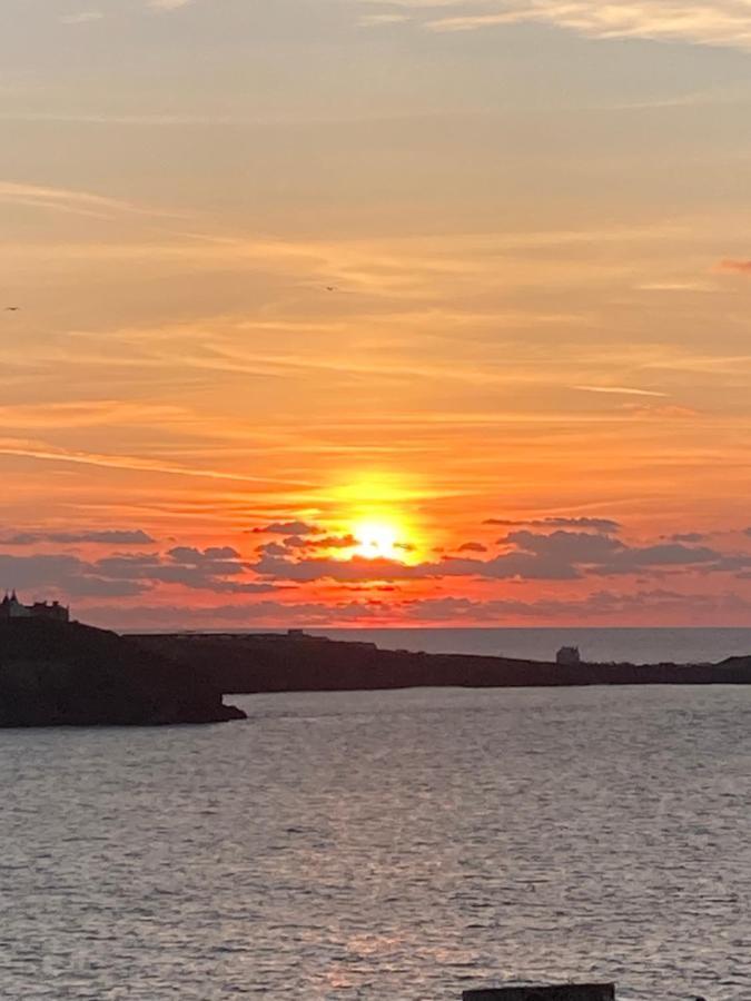Beautiful 3 Bedroom Apartment By The Sea New Quay エクステリア 写真